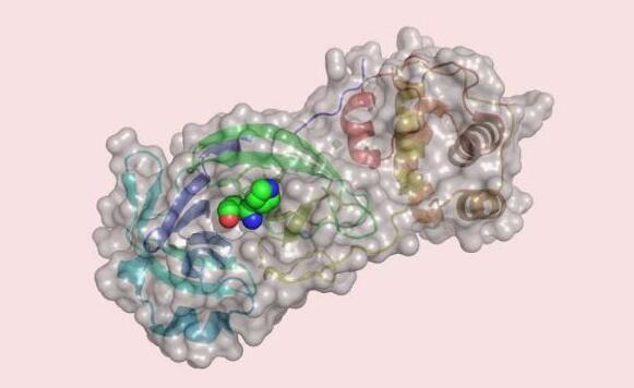 chemrxiv突破：研究人员筛查近7亿种物质找到可能的COVID-19新药
