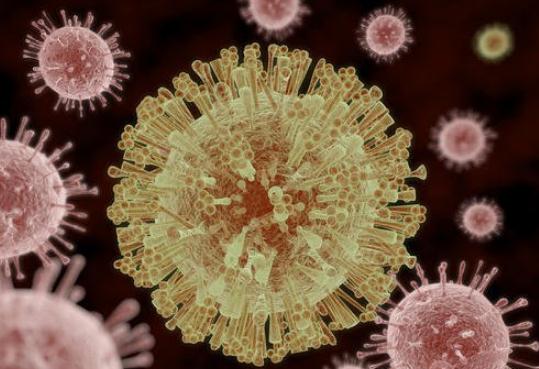 2020世界最可怕的病毒 最恐怖的十种病毒大盘点