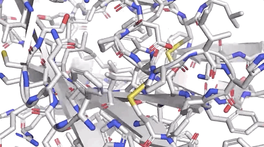 我科学家首创蛋白质动态结构AI建模方法