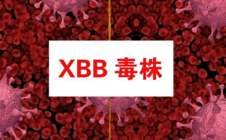 改变了主要侵犯器官？六问奥密克戎XBB