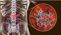 研究发现新冠病毒或可破坏胰岛细胞导致糖尿病
