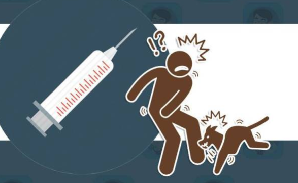 世界狂犬病日：致死率100％的这种传染病你真的了解吗？