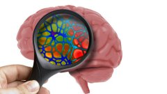 研究发现人脑细胞在体外也有智力