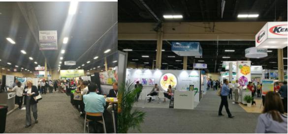 2019年世界制药原料印度展 CPhI India