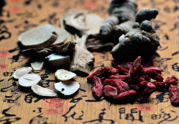 全国人大代表司富春：中医药“走出去”还需拓宽通道